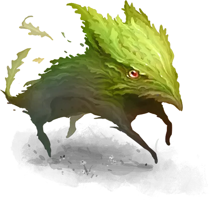 Acrucoula