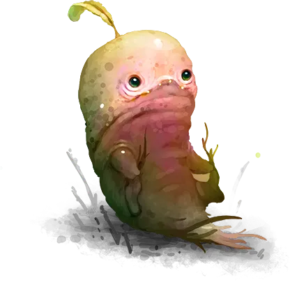 Cuteroot