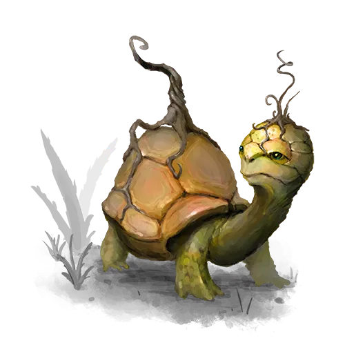 Droughtoise
