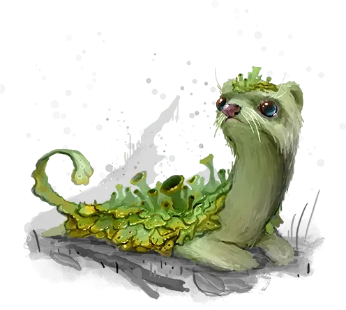 Fungusfurredflounderferret