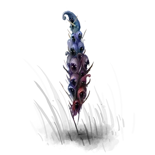 Gloomcloakband