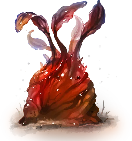 Heartbeetroot