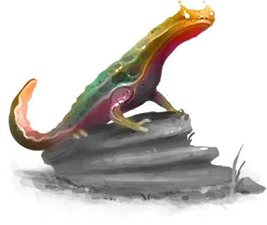 Salamancer New