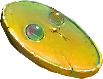 Homebrew Item Twiddletoadscharm